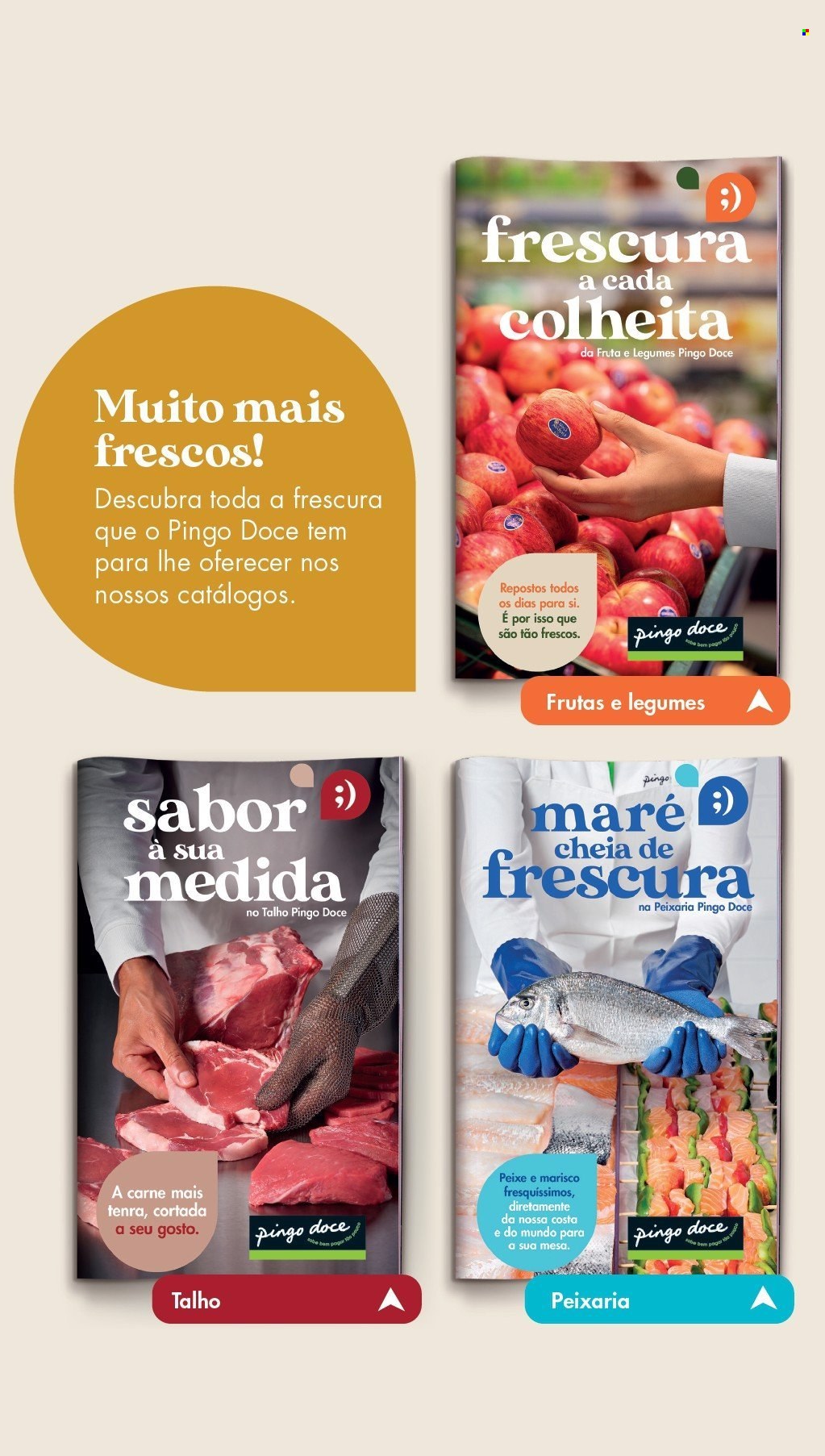 Folheto Pingo Doce.