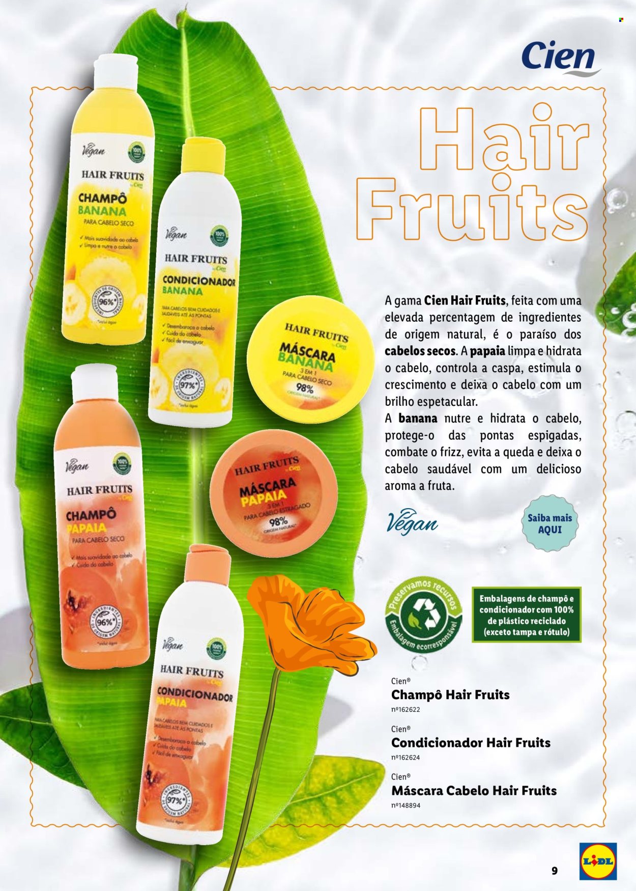 Folheto Lidl.