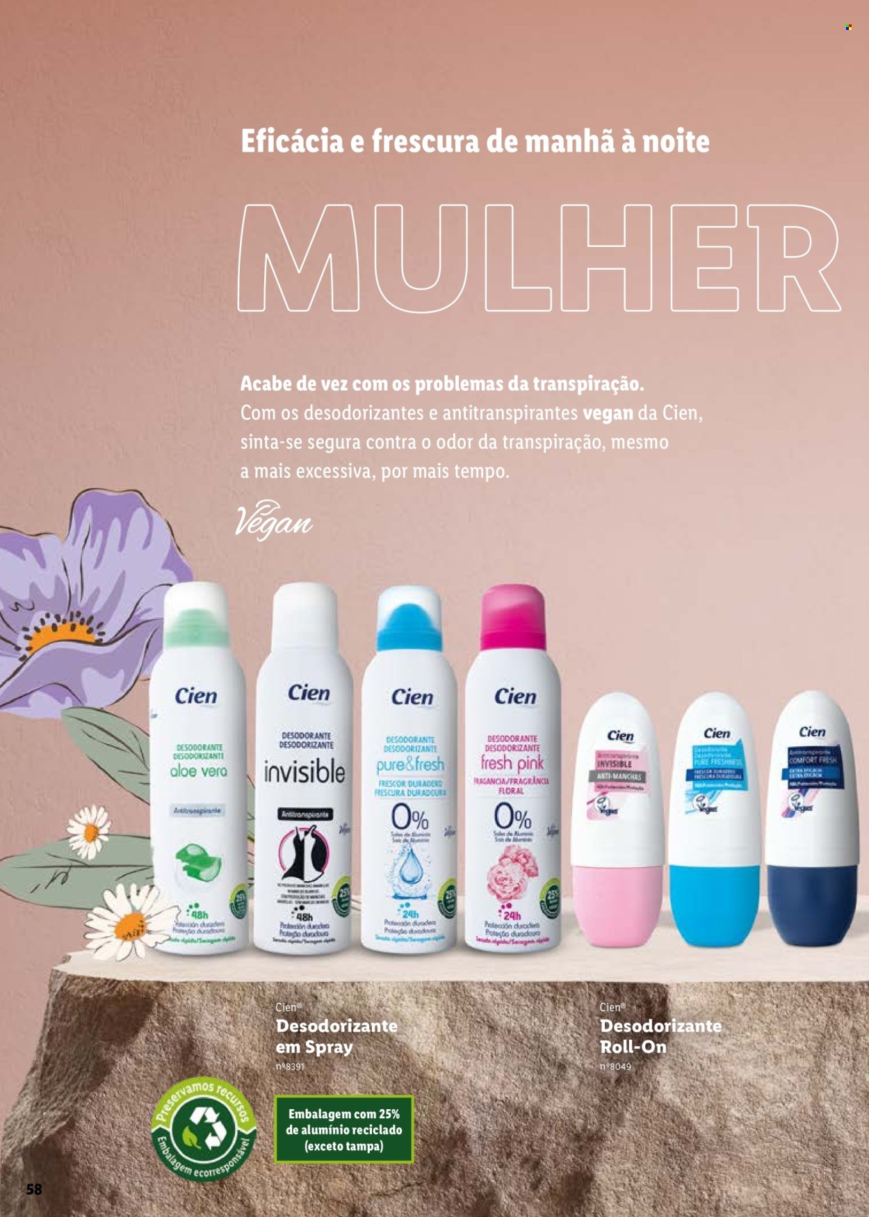 Folheto Lidl.