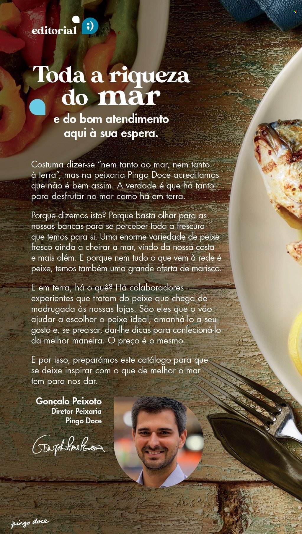 Folheto Pingo Doce.