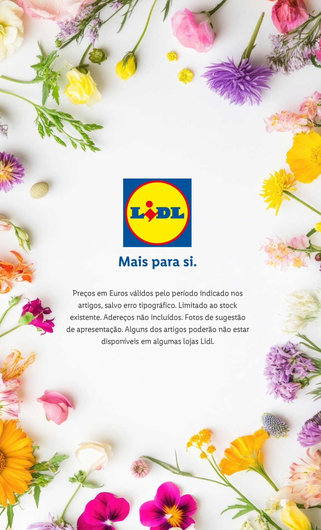 Folheto Lidl.