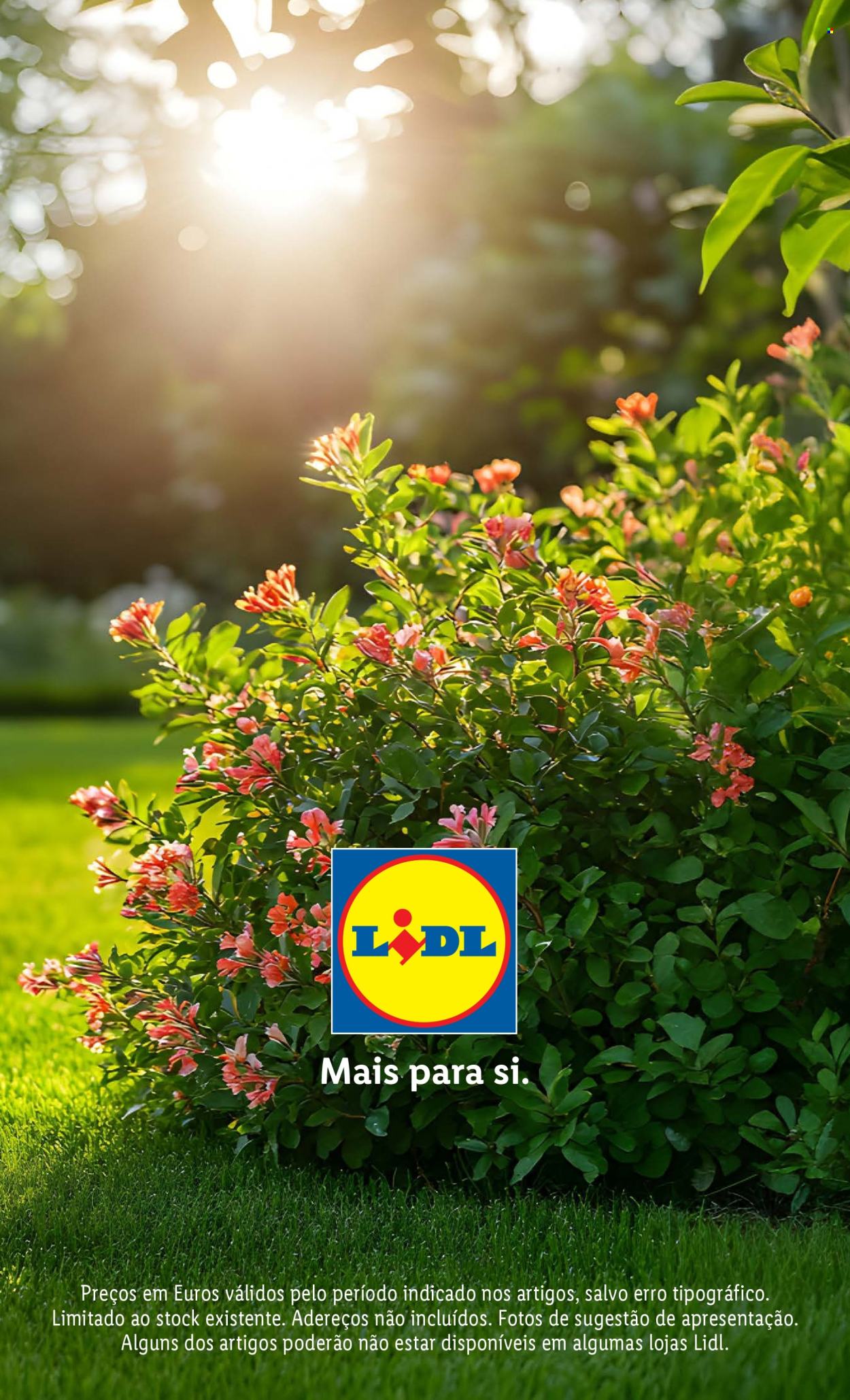 Folheto Lidl.