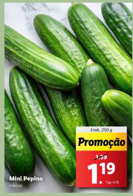 Mini Pepino
