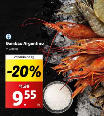 Gambão Argentino