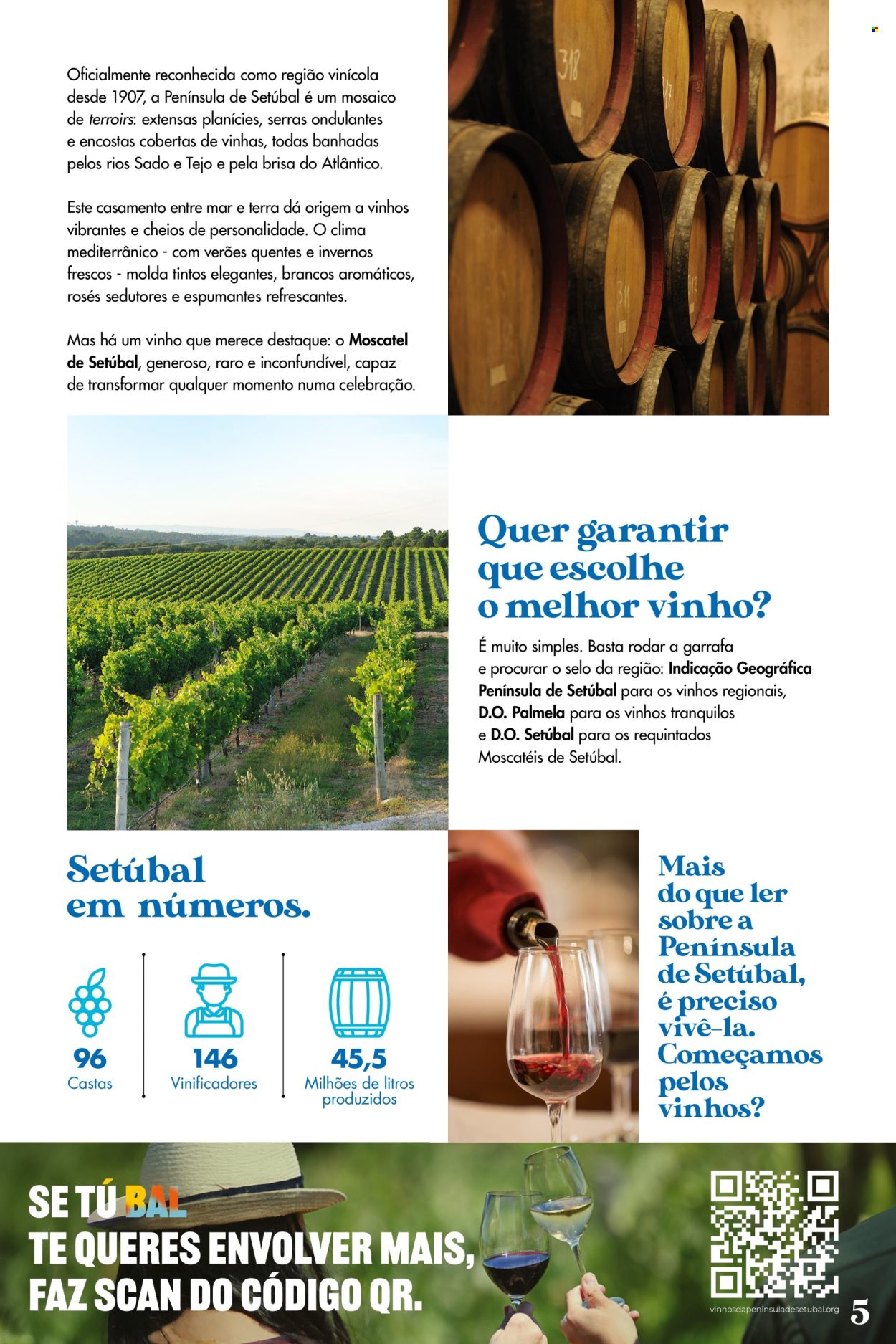 Folheto Pingo Doce - 6.5.2025 - 26.5.2025.