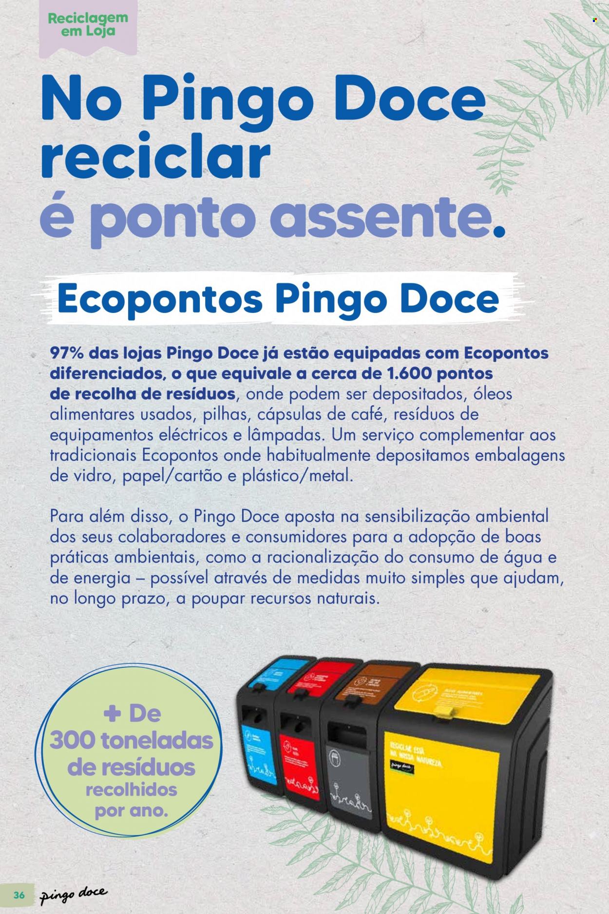 Folheto Pingo Doce - 12.10.2021 - 25.10.2021.